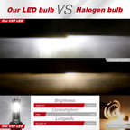 Comparison between CSP LED and Halogen bulb with brightness, consumption, and longevity data.