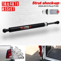 Ford F-150 (2004-'14) Tailgate Assist Shock Struts Truck Lift Support